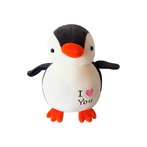 BOX HIELERA PARLANTE PROMO SAN VALENTIN